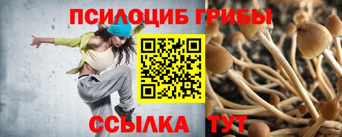 где купить   Вход с VPN  Михайловск  Псилоцибиновые грибы ЛСД 